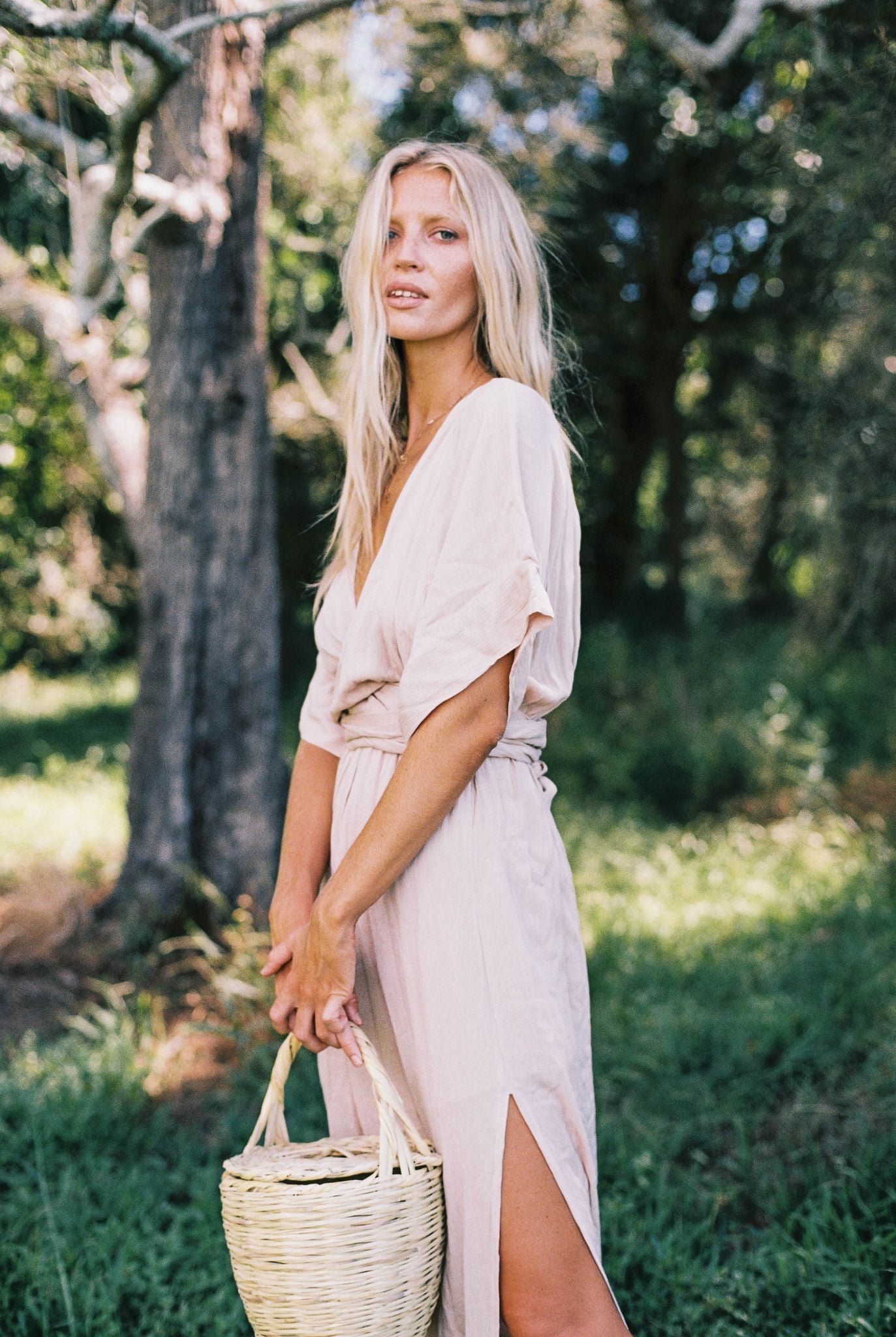 Melody Maxi Dress | Blush — thumbnail 3